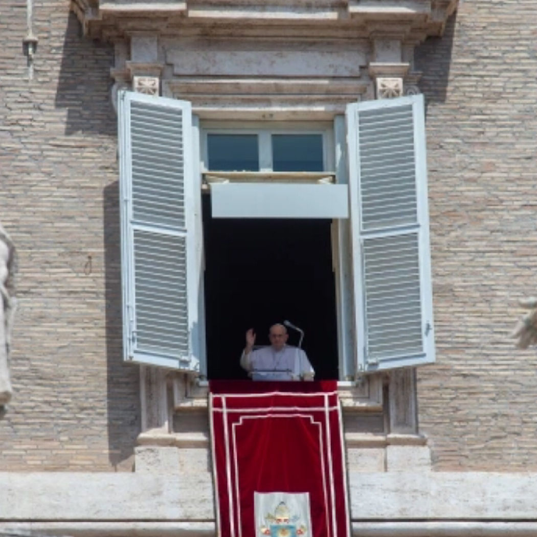 El Papa invita a sembrar el bien sin desanimarse por los fracasos
