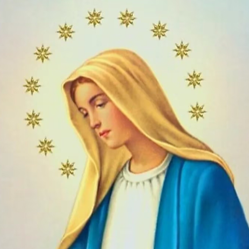 Oración del Papa Francisco a la Inmaculada Concepción de la Virgen María
